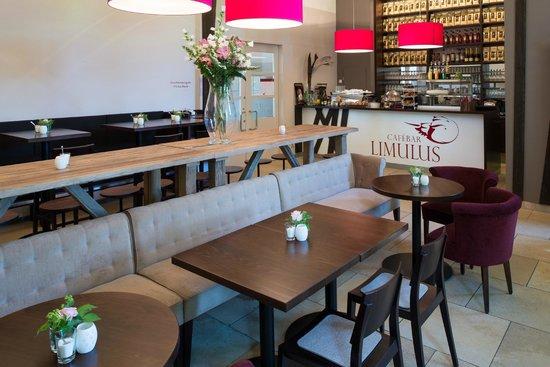 CaféBar Limulus