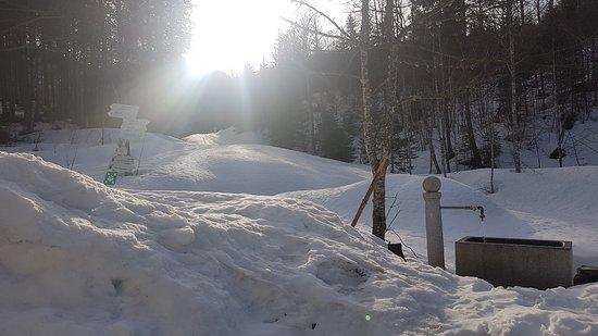 Bergwaldhaus Dreiangelhütte