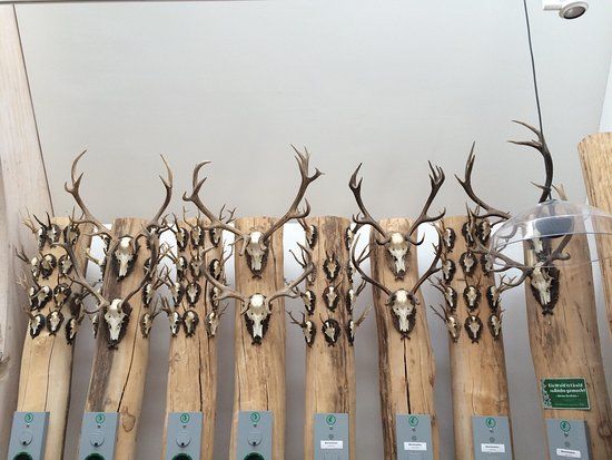 Wildpark Waldhaus Mehlmeisel