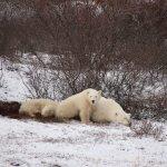Wirtshaus-Pension Saumerpfad