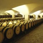 Weinbau & Hofbrennerei Falk