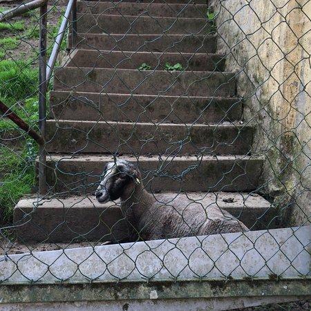 Landgasthaus Nickelsmuhle