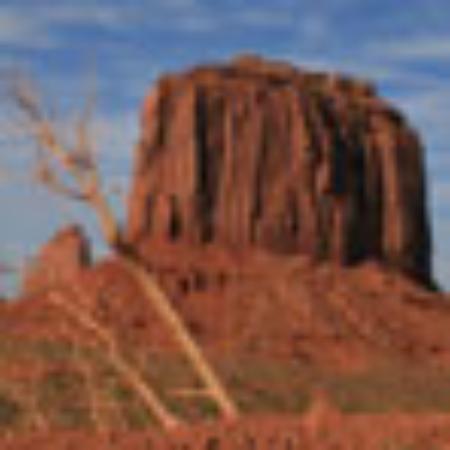 Gast- & Logierhaus Braustüble