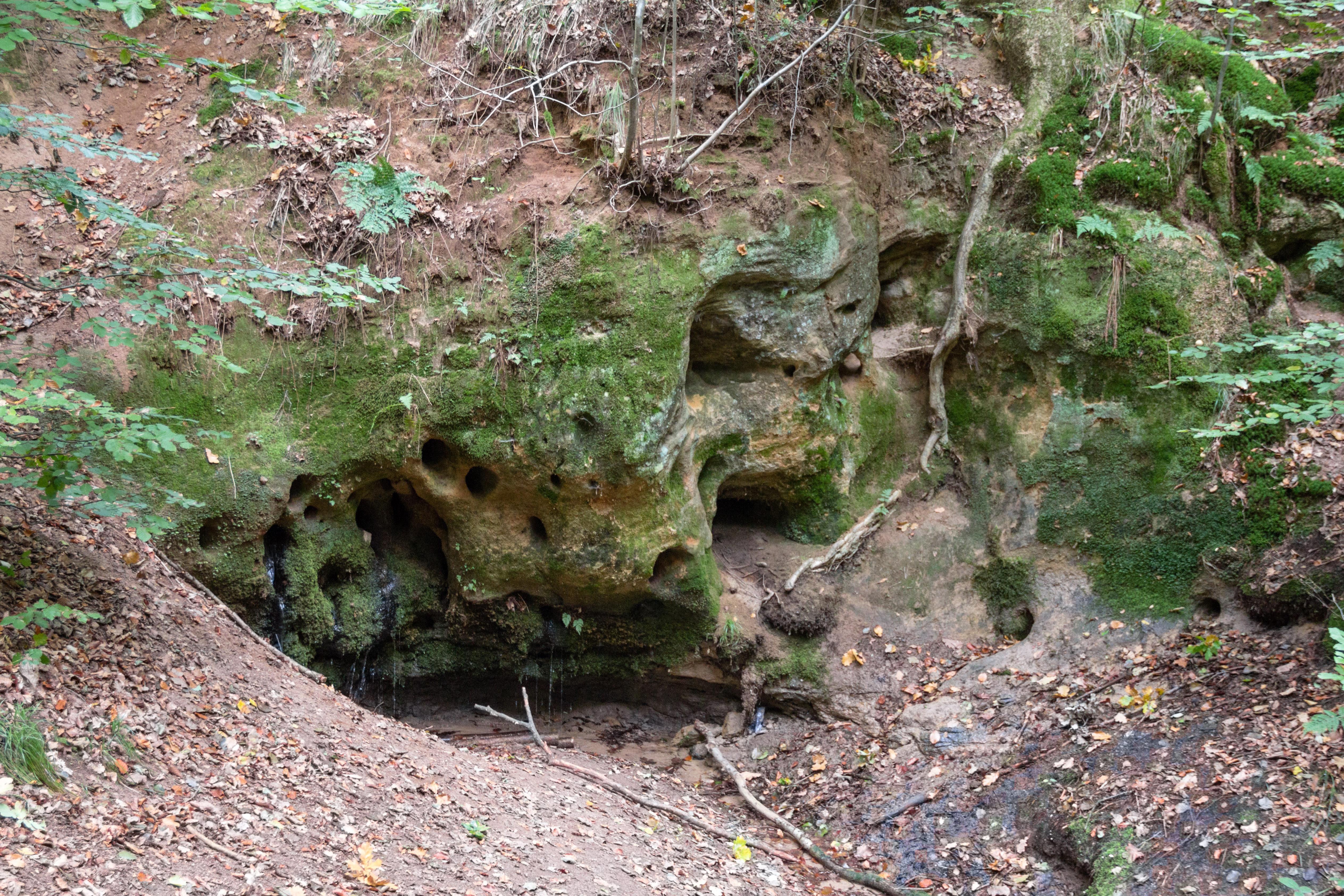 Sprosselbrunnen bei Schönberg
