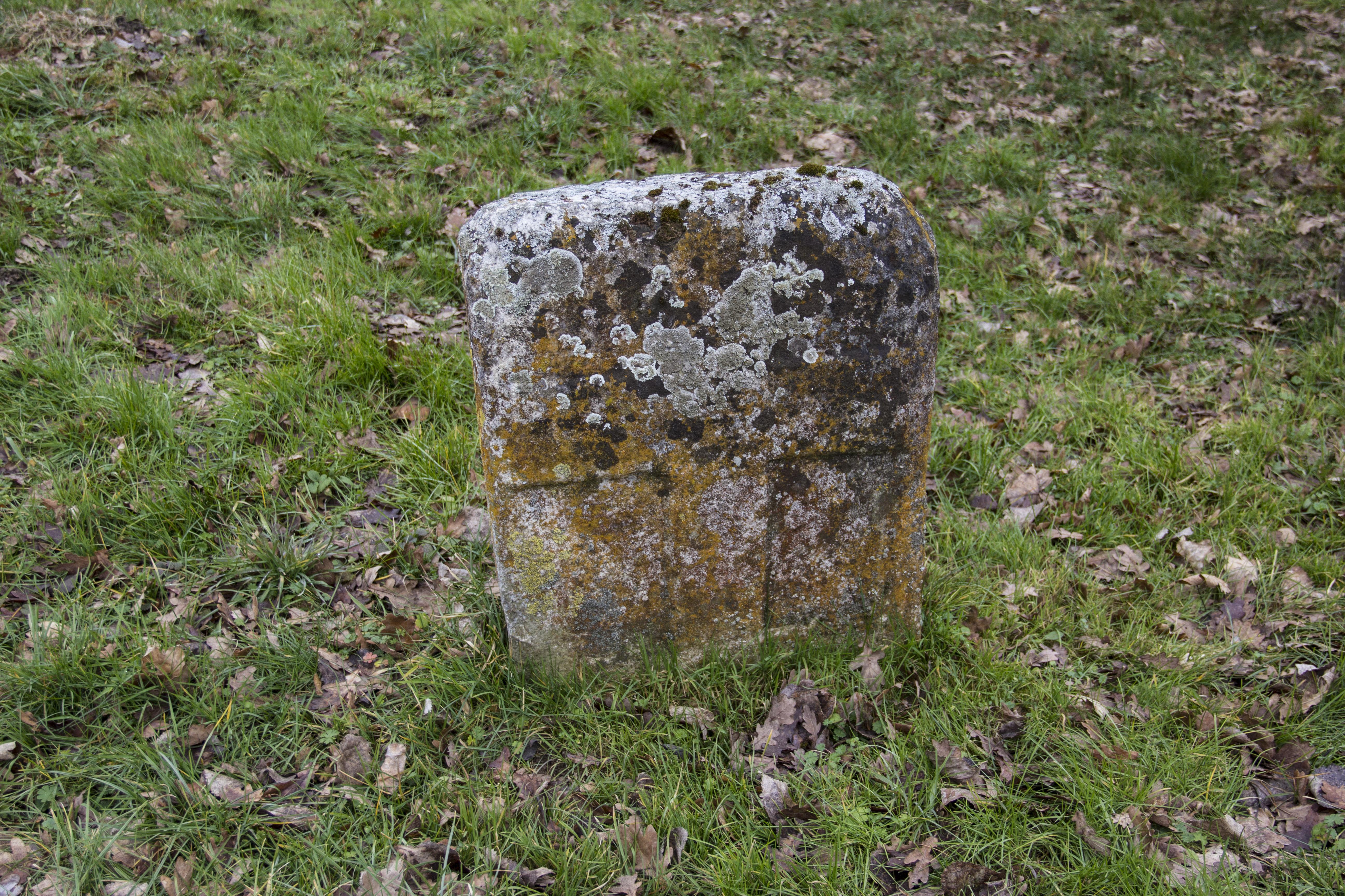 Westlicher Kreuzstein bei Kinding