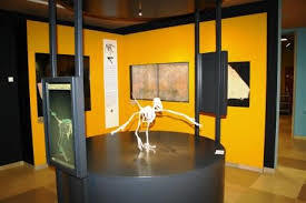 Bürgermeister Müller Museum