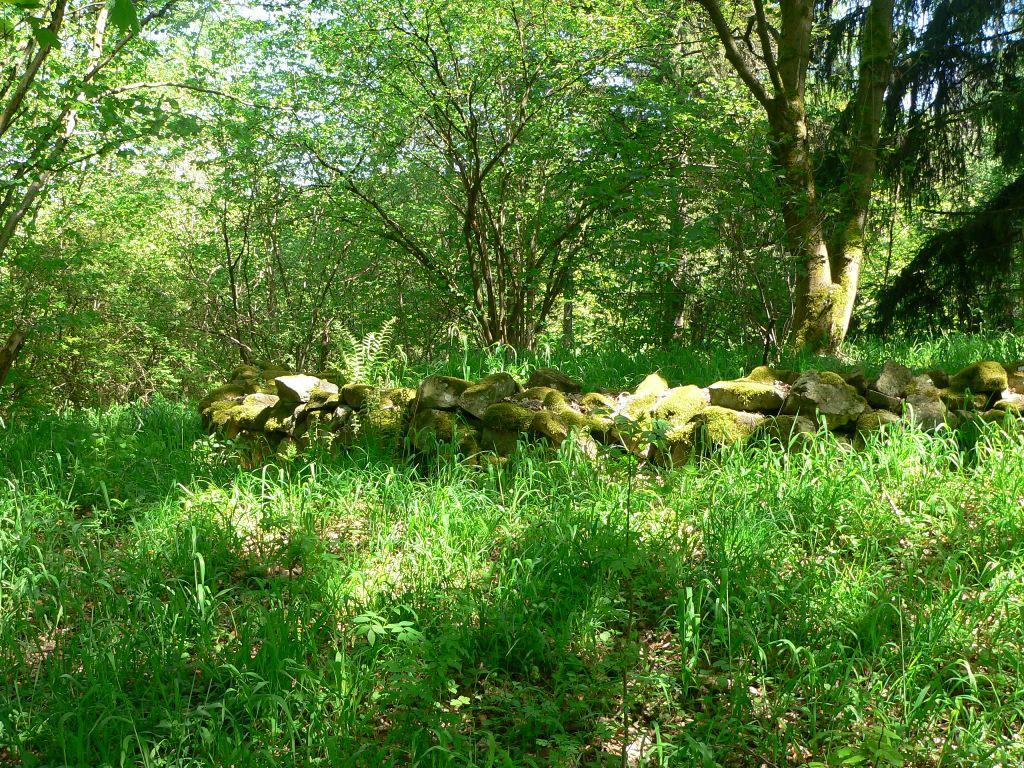 Turmburg Alt-Berneck