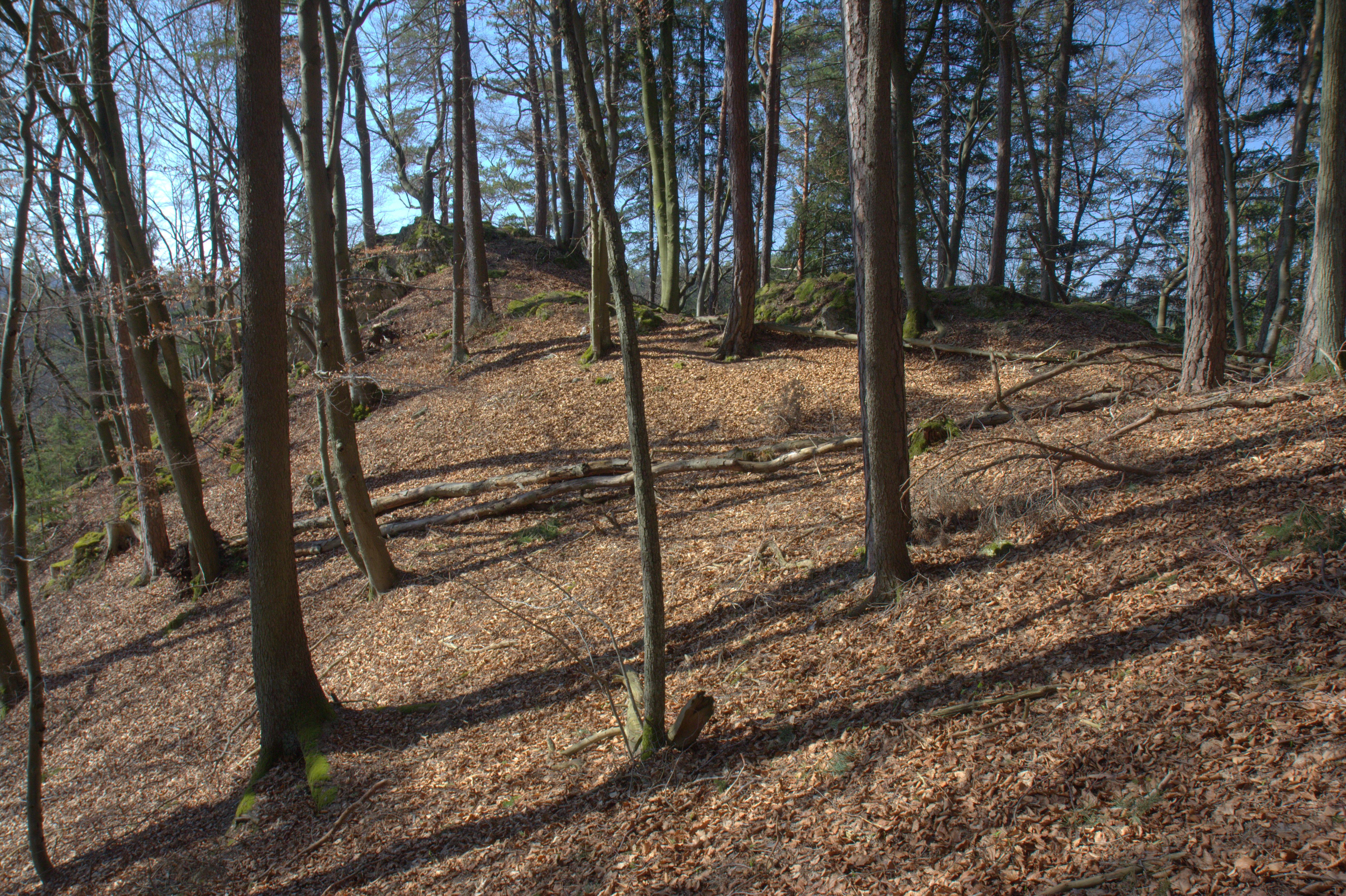 Burgstall Vestenberg