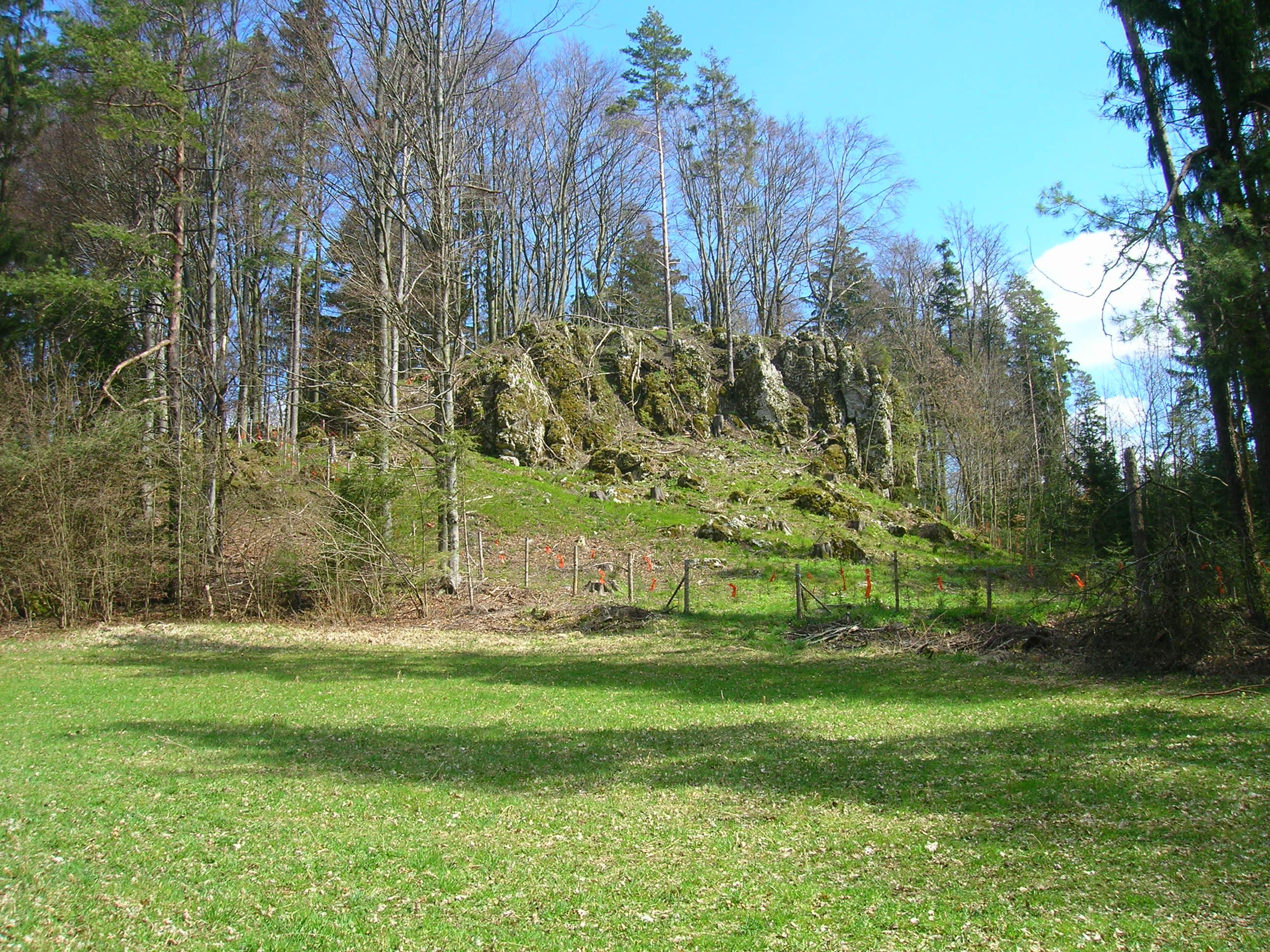 Burgstall Altes Schloss
