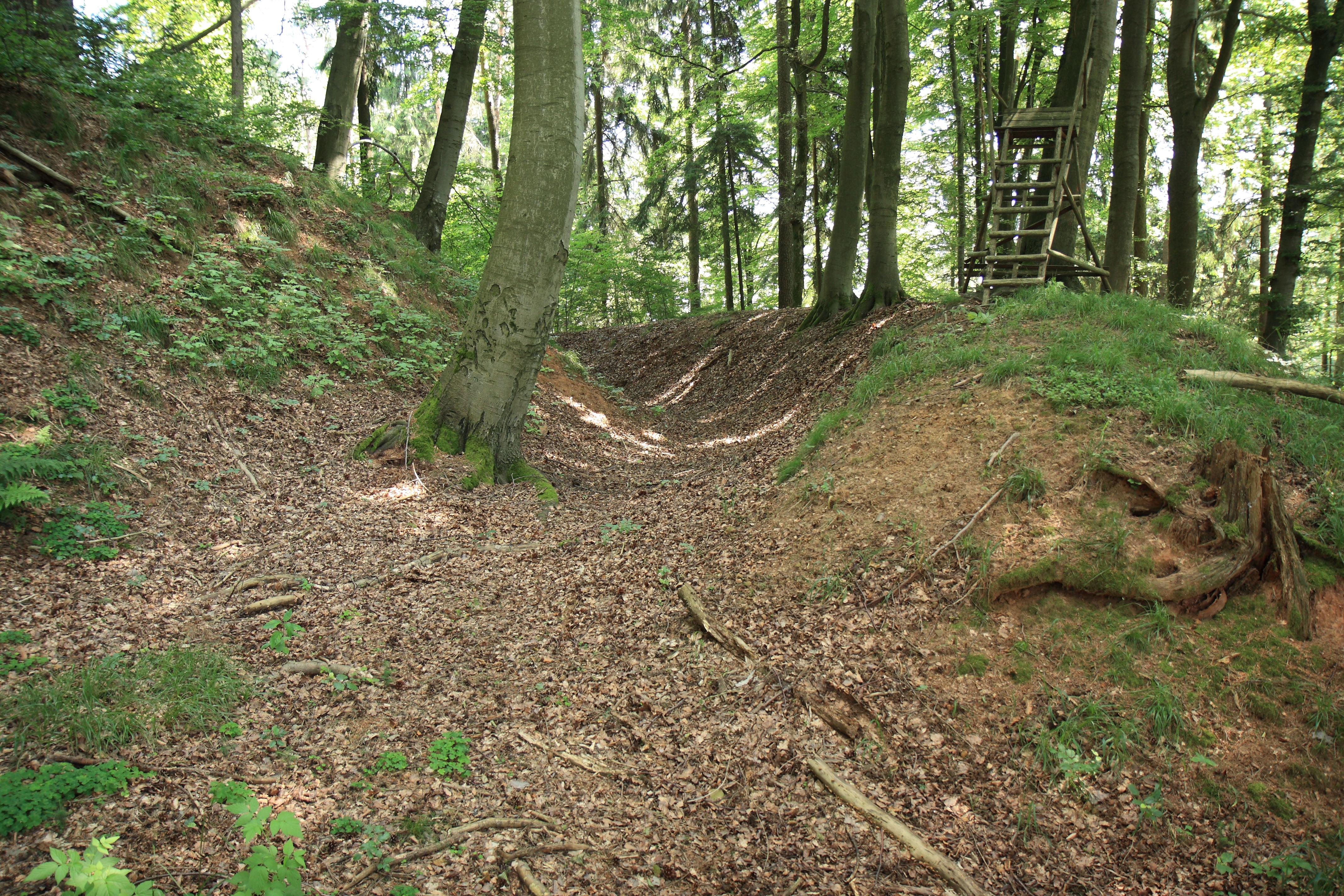 Burgstall Alter Rothenberg