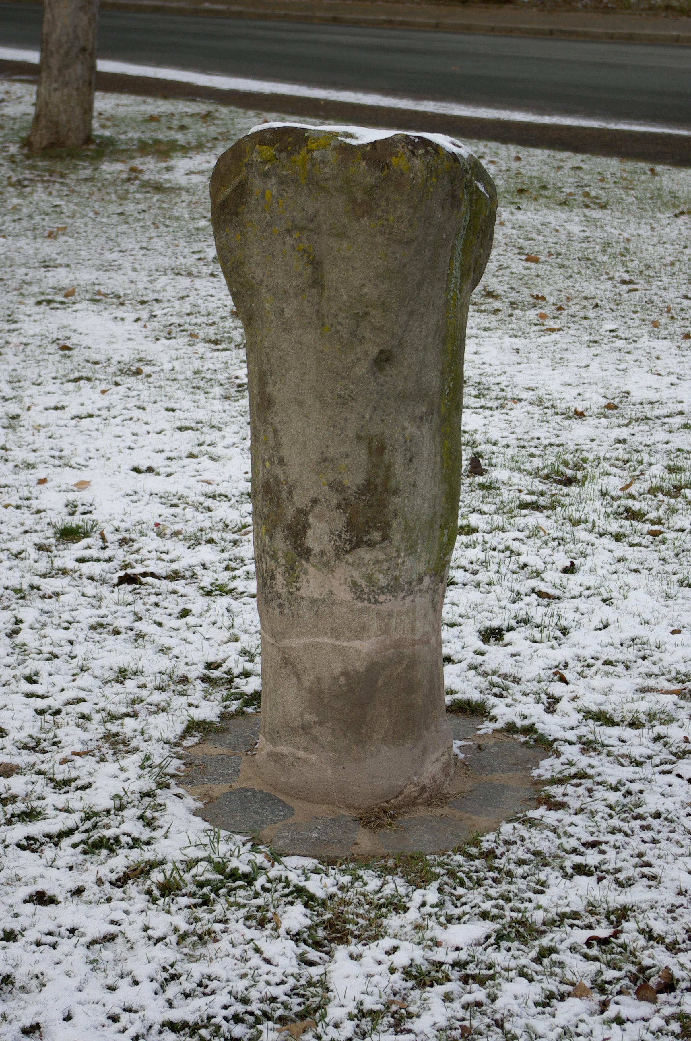 Sogenannte Wolfsmantel-Marter