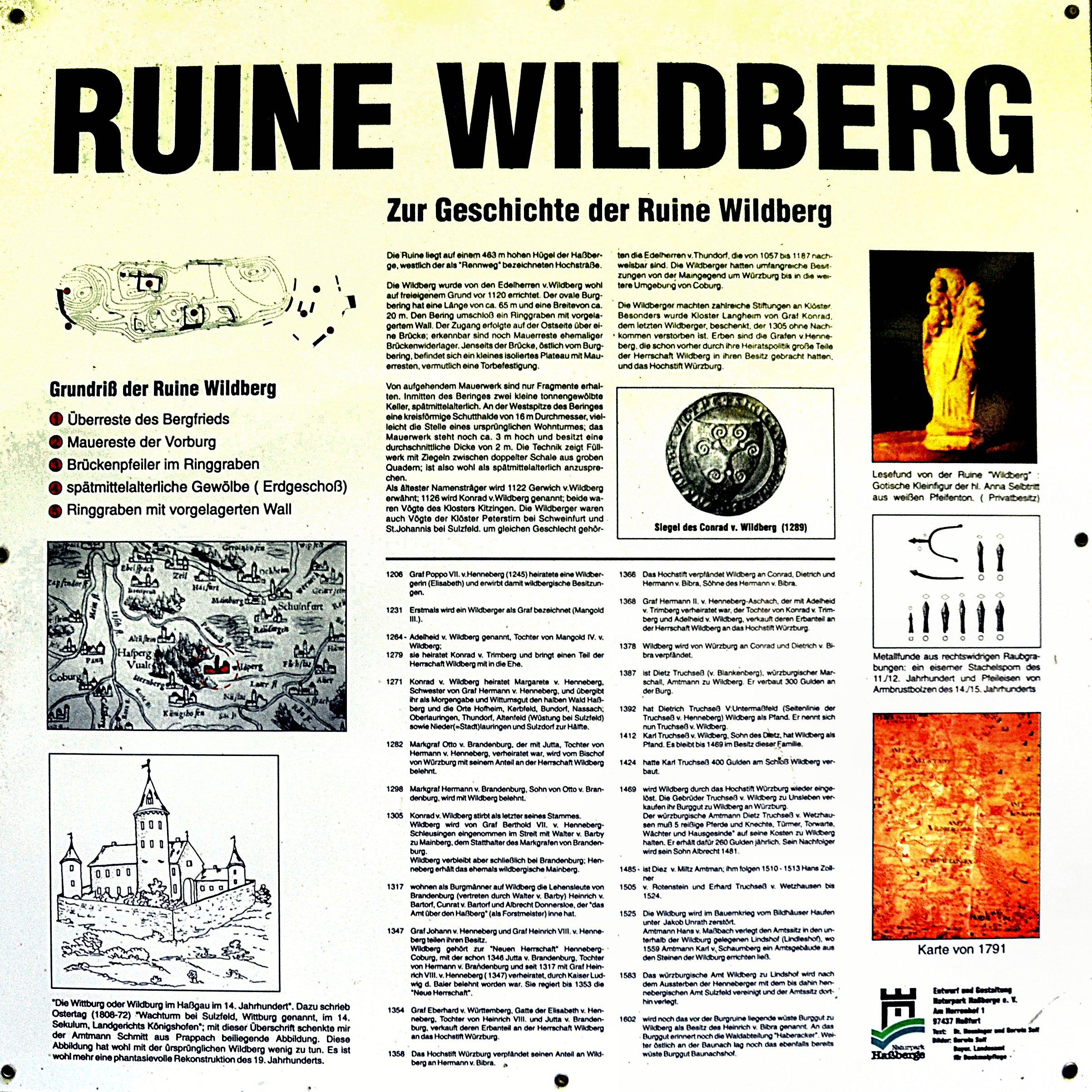 Ruine Wildberg