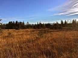 Ellbach- und Kirchseemoor