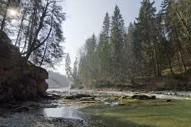 Ammerschlucht im Bereich des Scheibum