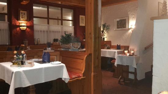 Kräutergarten & Die Petersilie