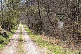 Pegnitzau zwischen Ranna und Michelfeld