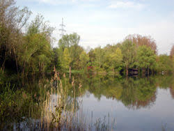 Badesee Klostersee Trennfeld