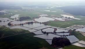 Vogelfreistätte Weihergebiet bei Mohrhof