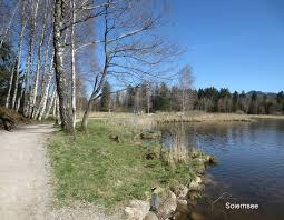 Bayersoiener See