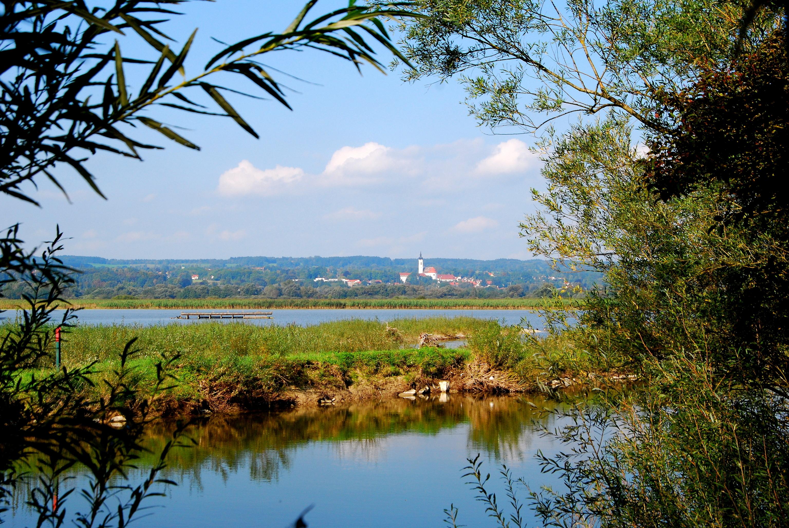 Vogelfreistätte Ammersee-Südufer