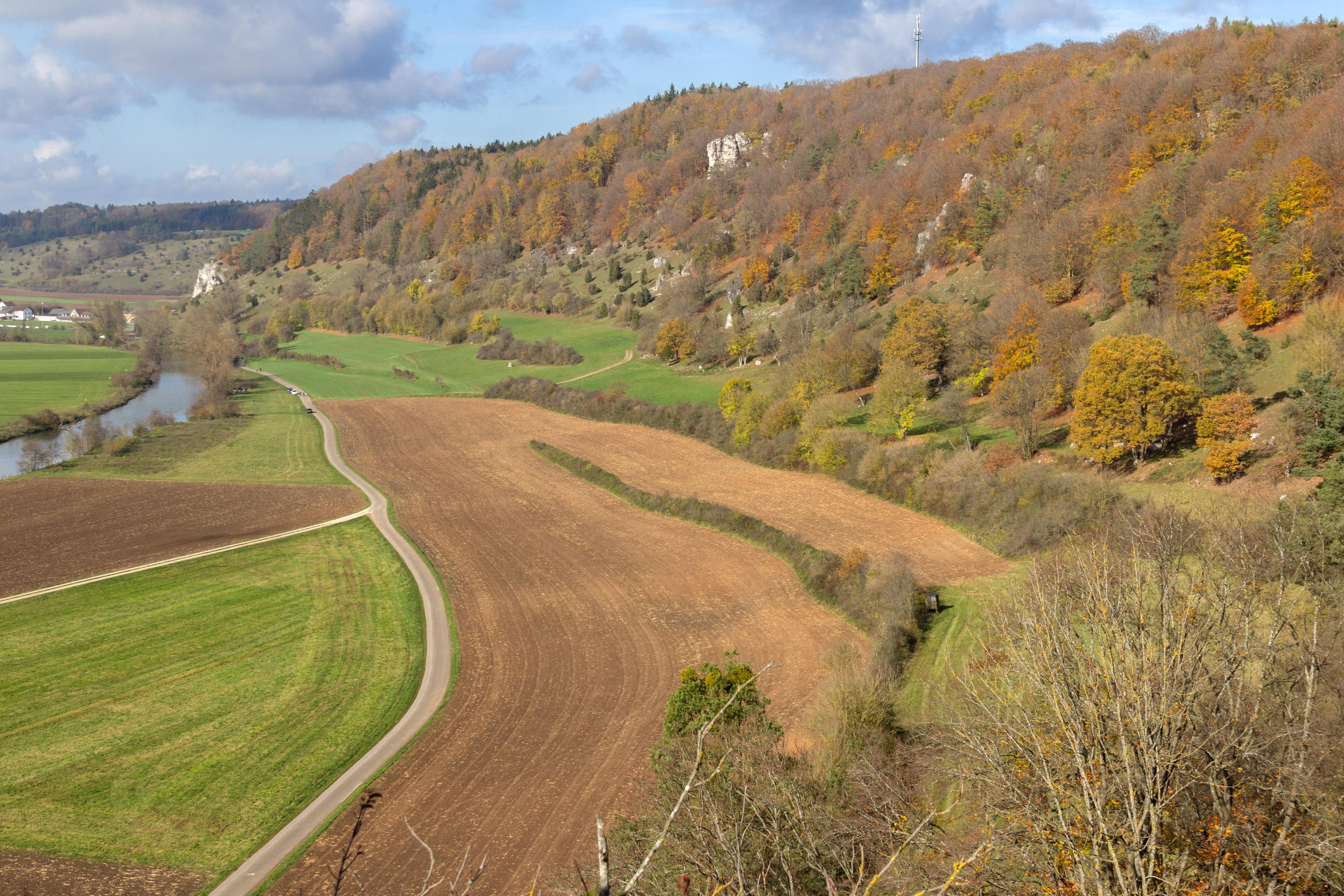 Trockenhänge bei Dollnstein