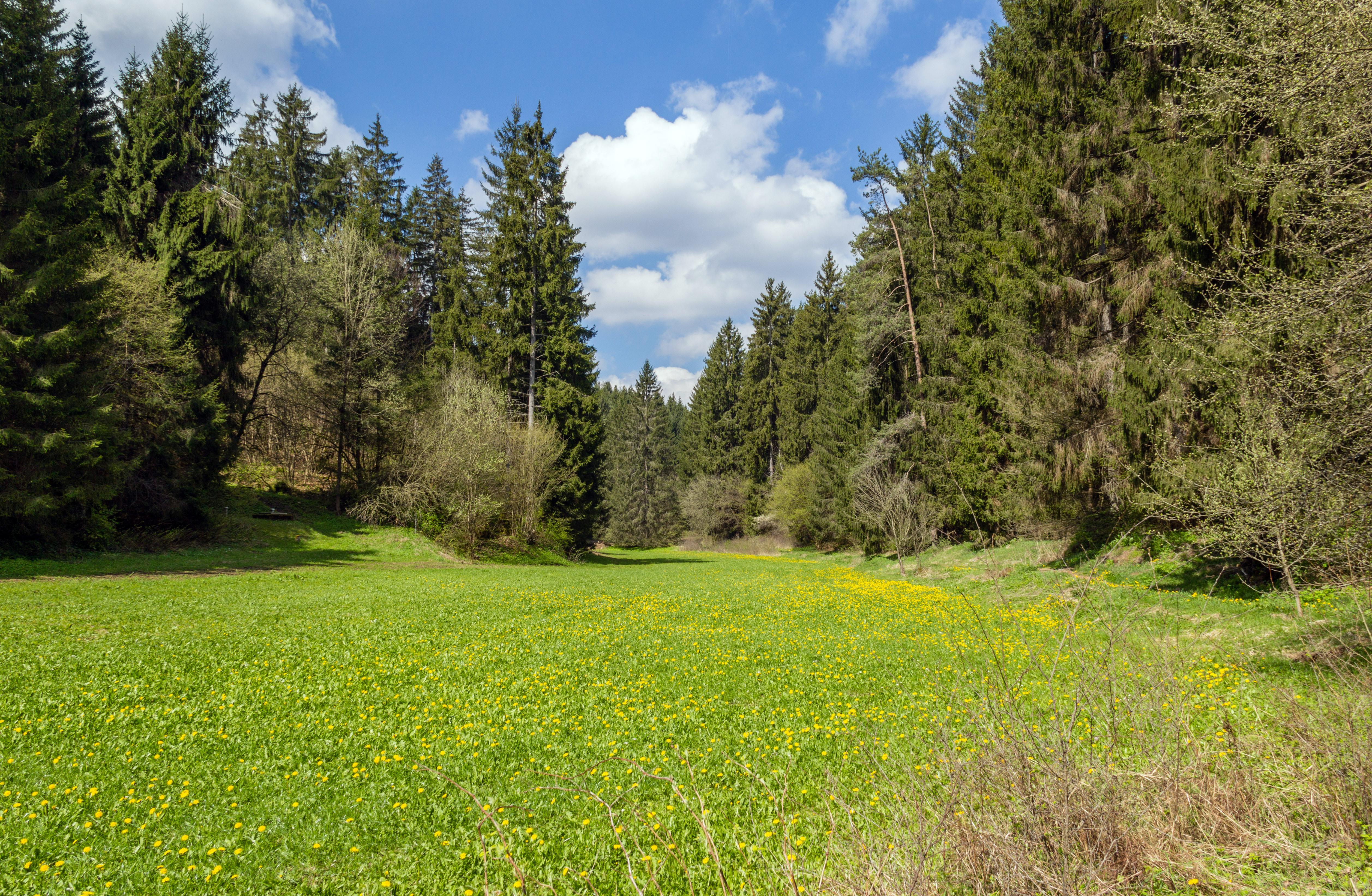 Klumpertal