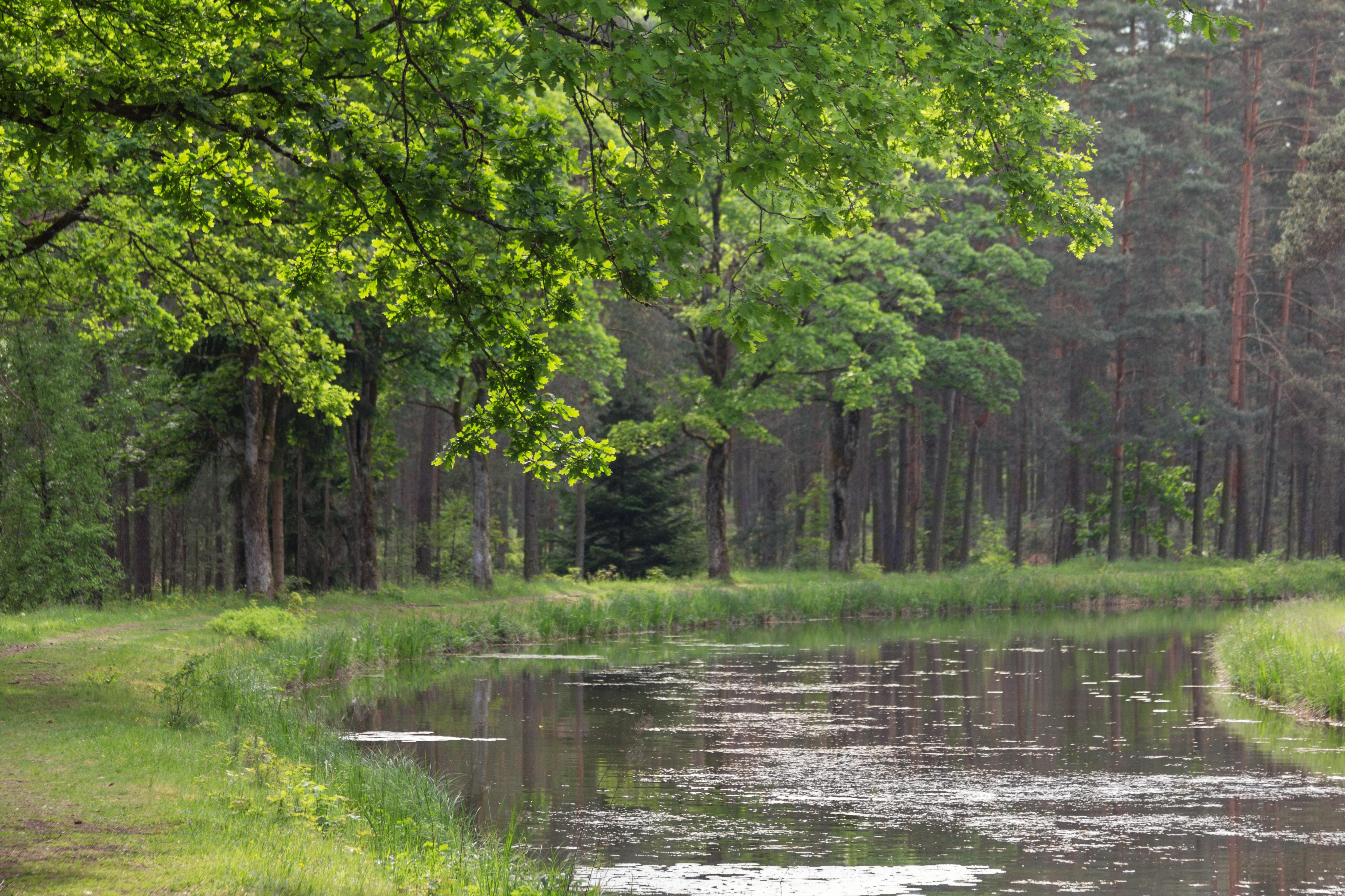 Ludwig-Donau-Main-Kanal