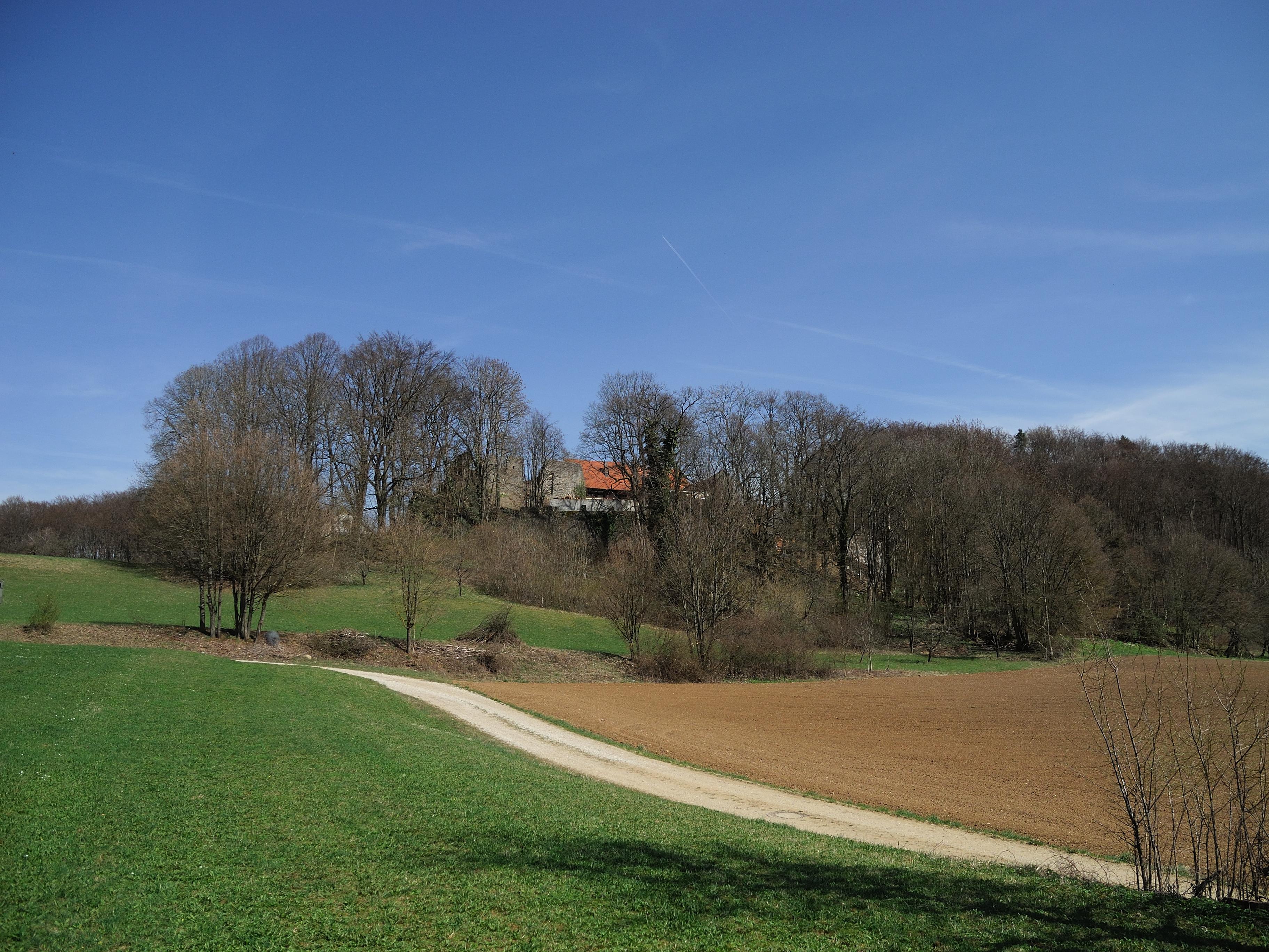 Torbau mit Resten einer Burg in Simmelsdorf