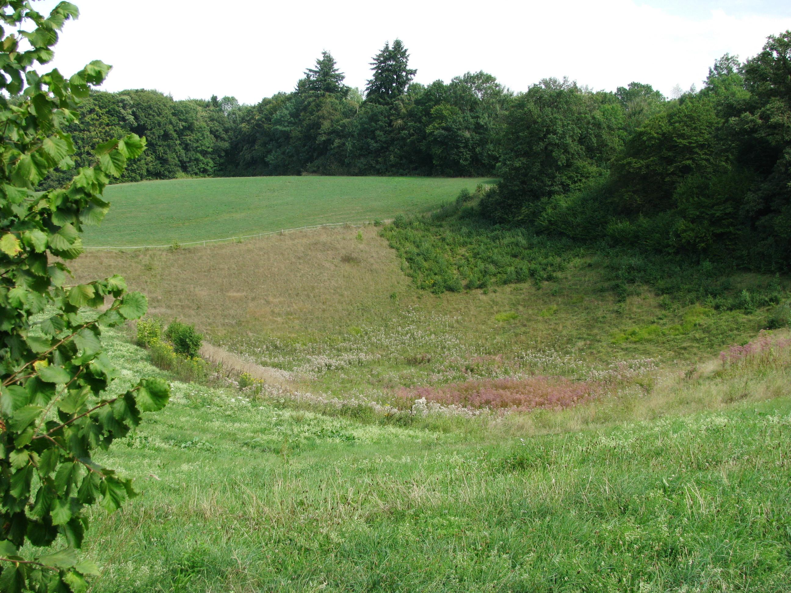 Toteisloch Wolfsgrube