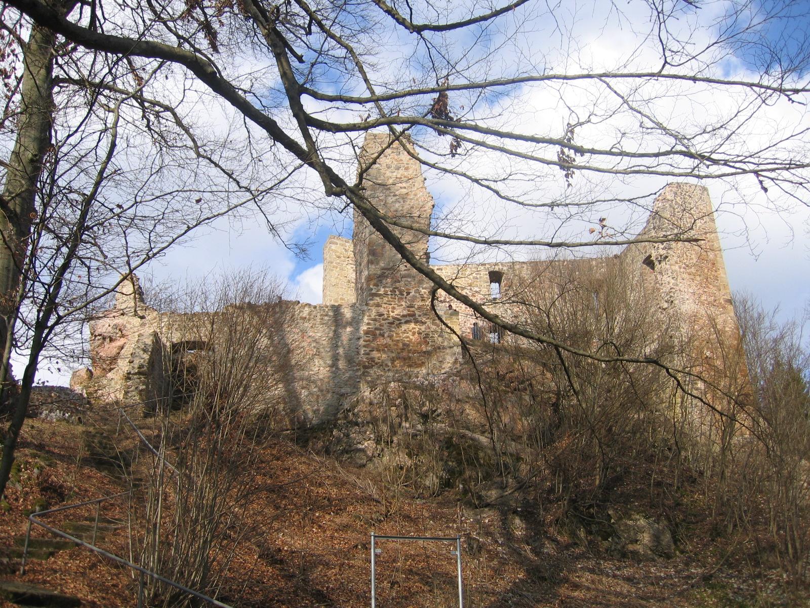 Pfahl-Ruine Schwärzenberg