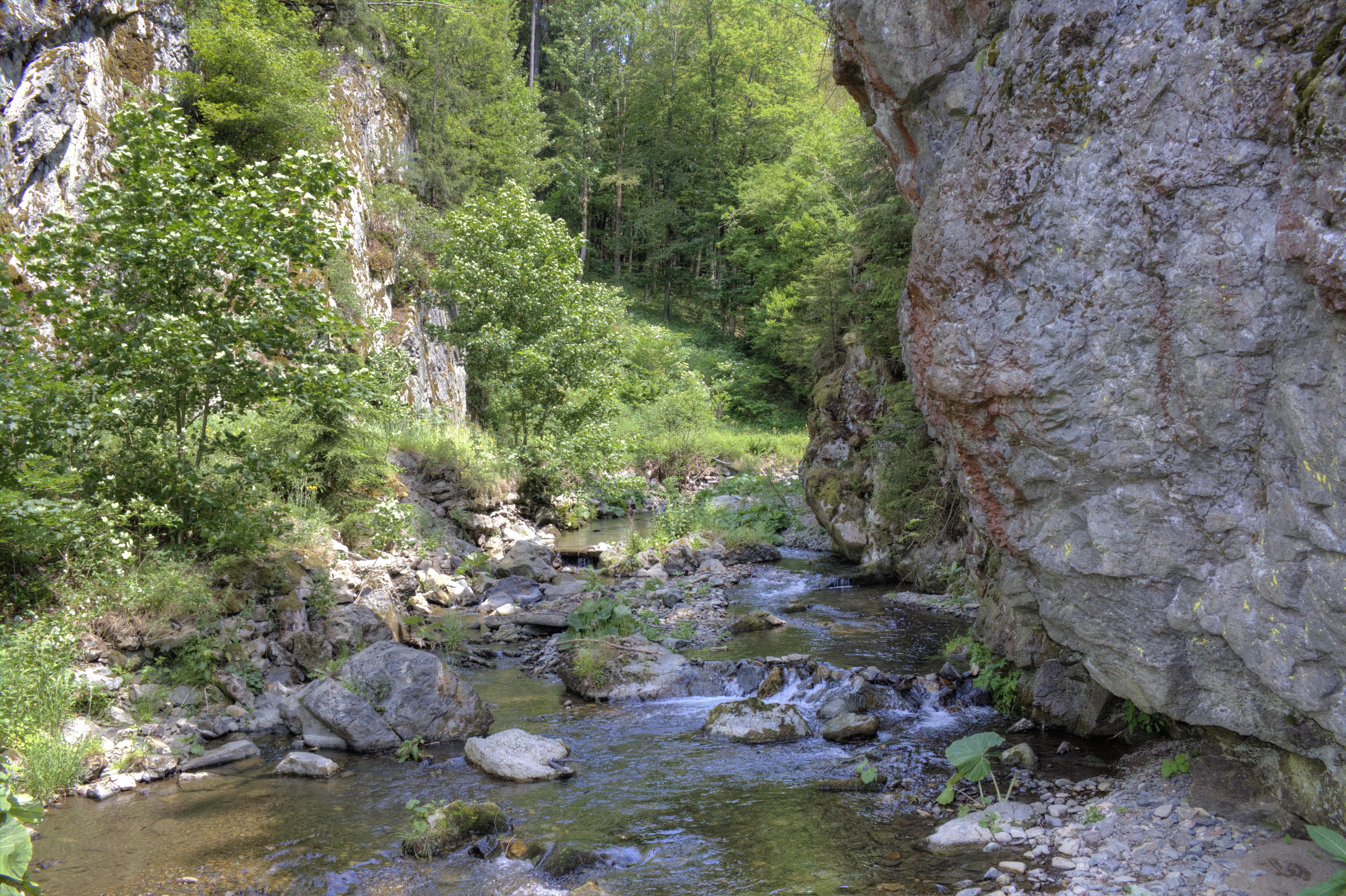 Steinachklamm bei Wildenstein