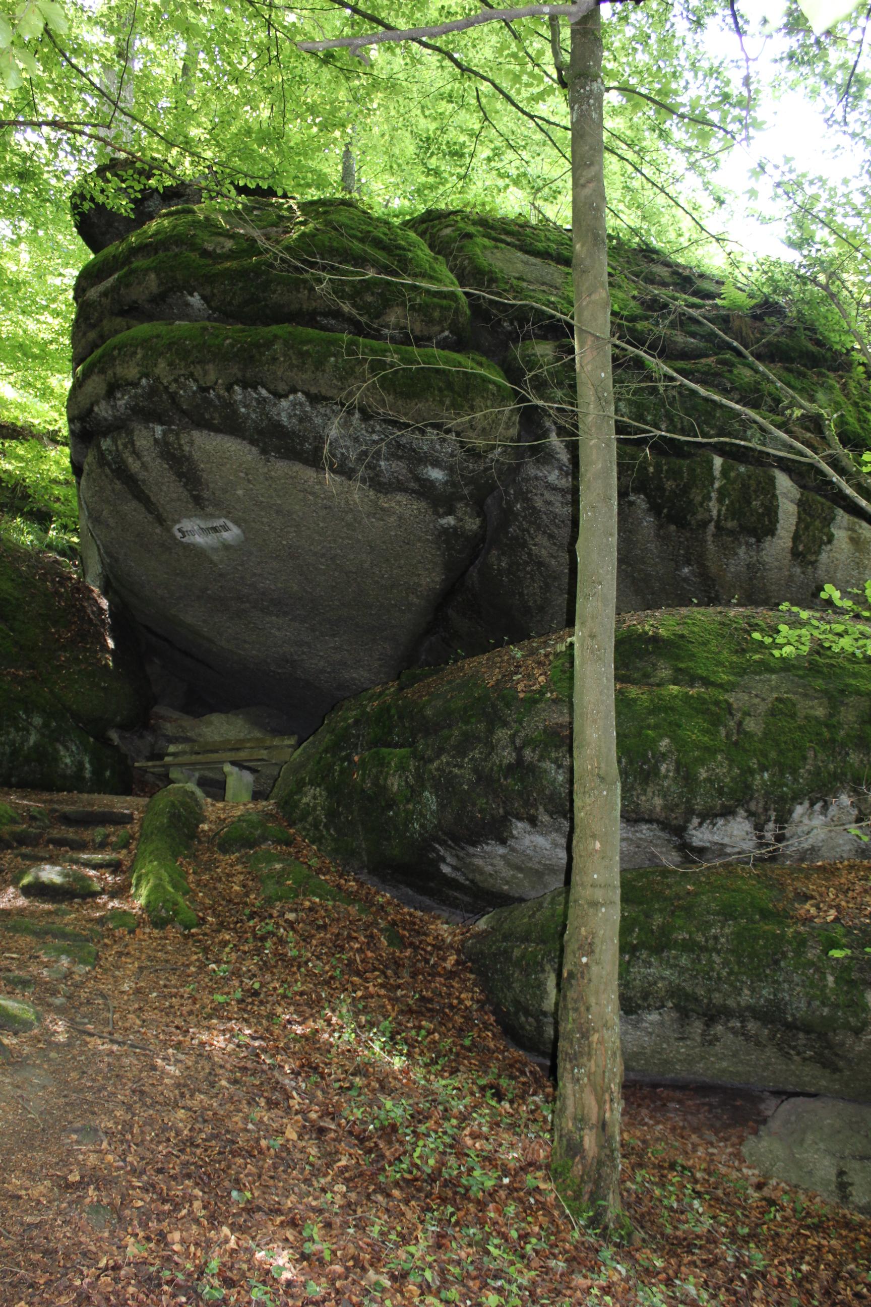 Froschmaul am Burgberg Falkenstein