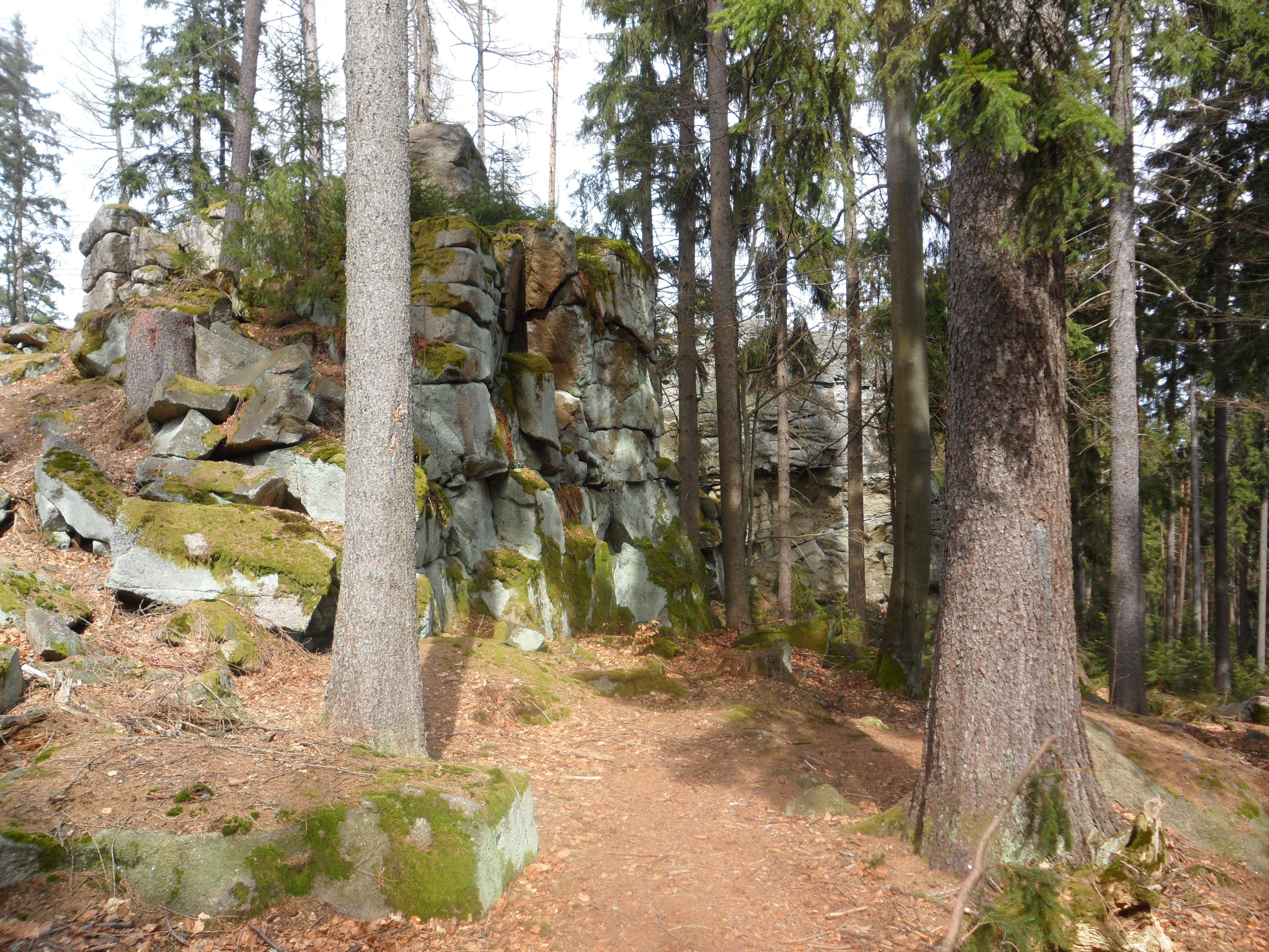 Hackelstein-Gipfel W von Fuchsmühl