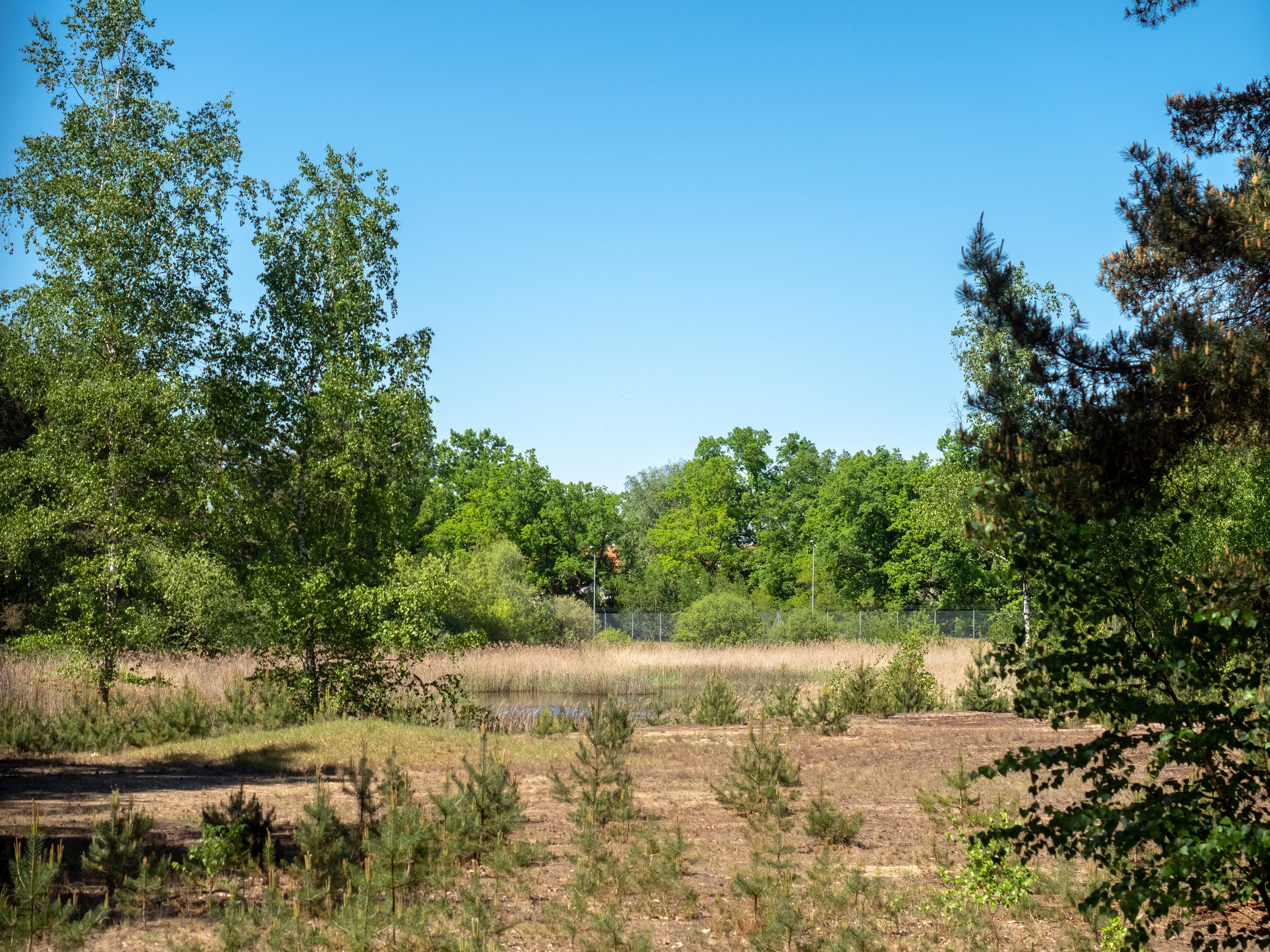 Muna-Gelände in Bamberg