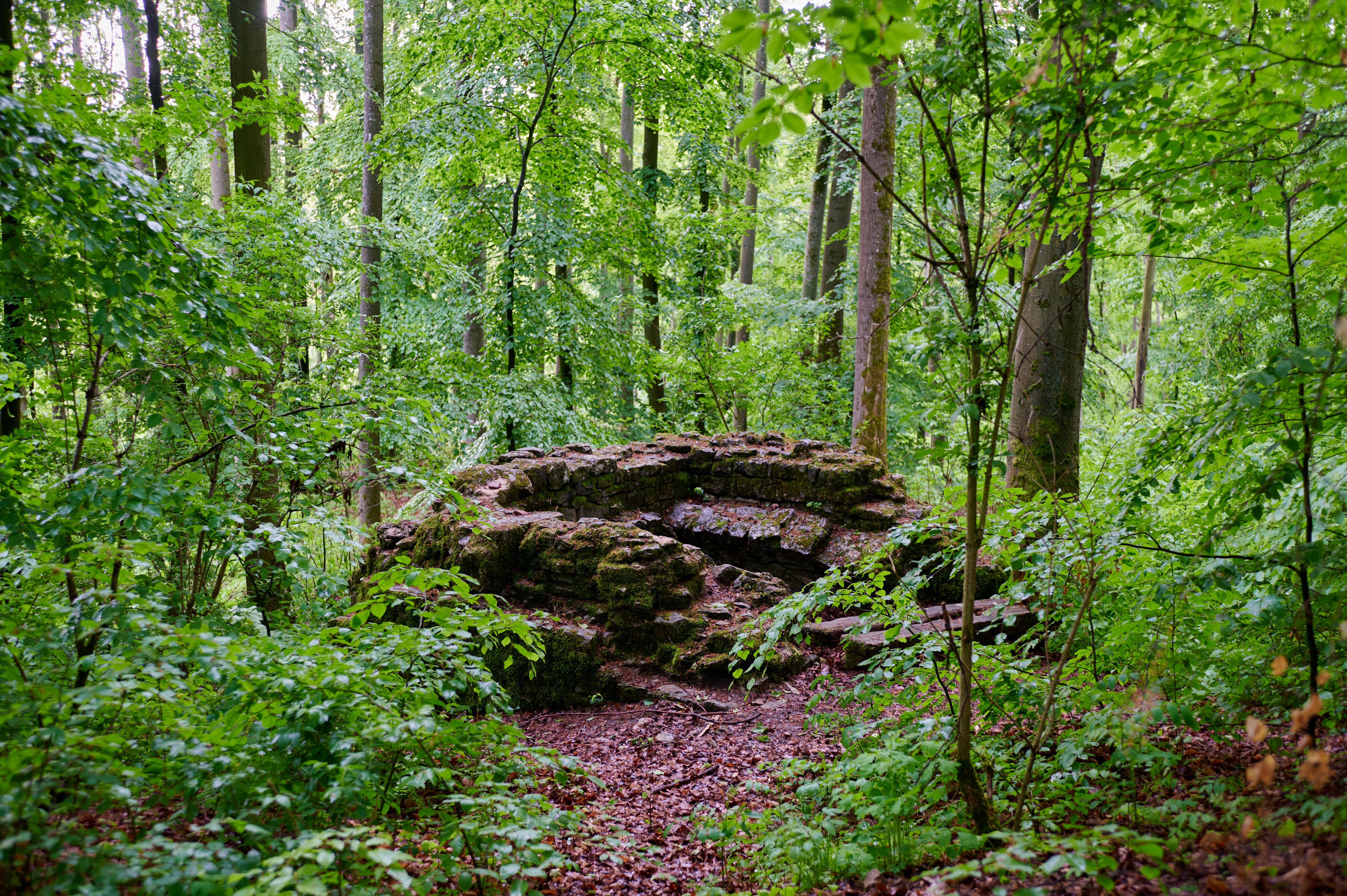 Burgstall Guttenberg