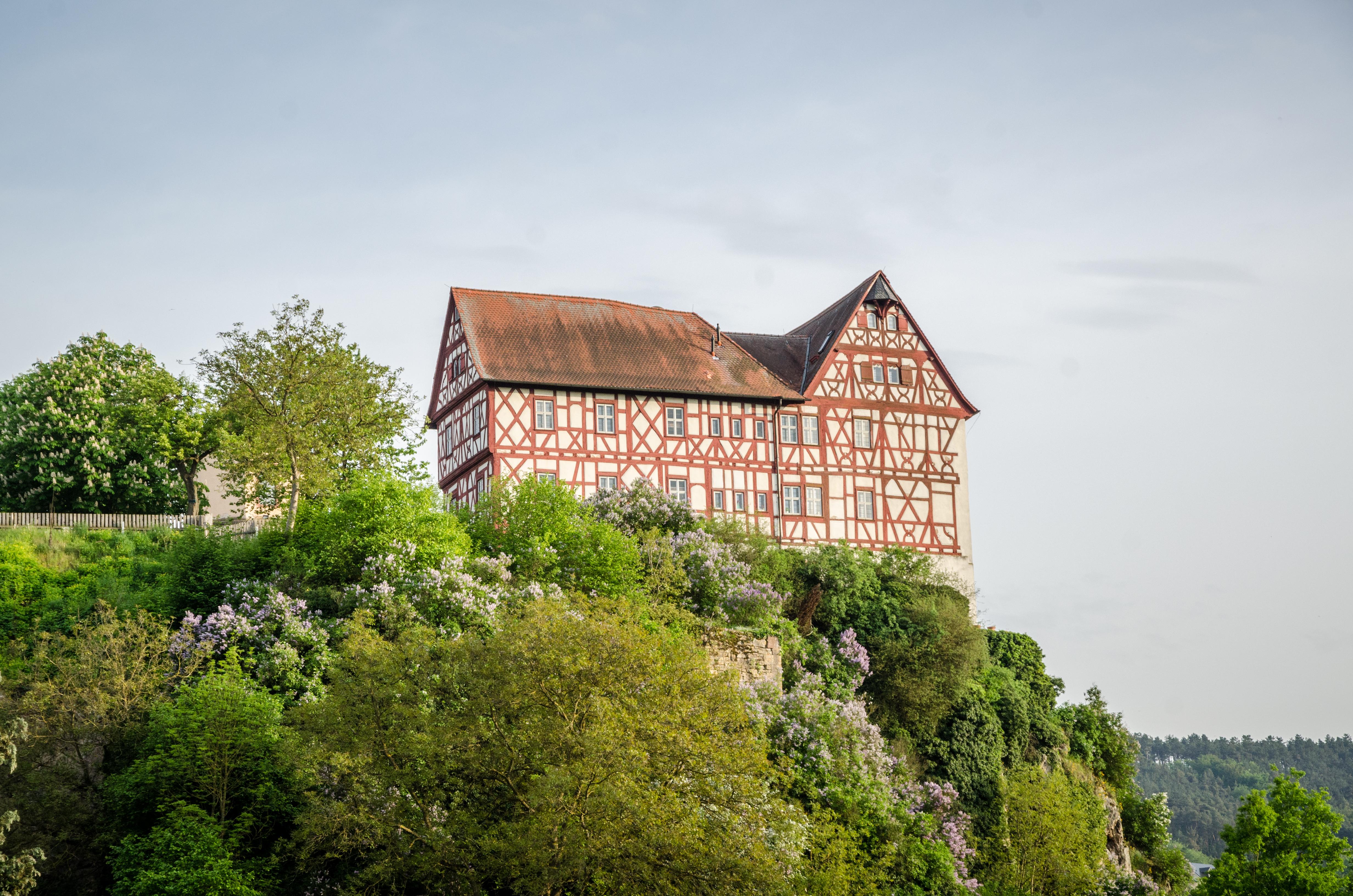 Burg Homburg