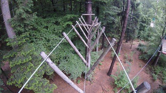 Waldkletterpark Oberbayern