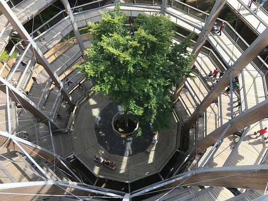 Baumwipfelpfad Steigerwald