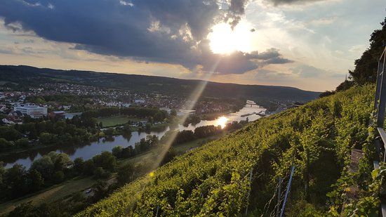 Picknickplattform mit Sonnenliegen im Weinberg