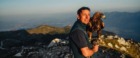 Falknerei Paul Klima