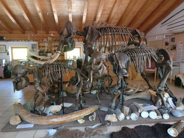 Mammutheum