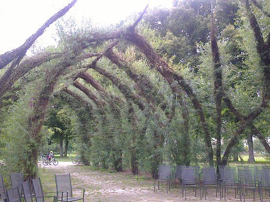 Weidenkirche Pappenheim