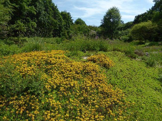 Aromagarten Erlangen
