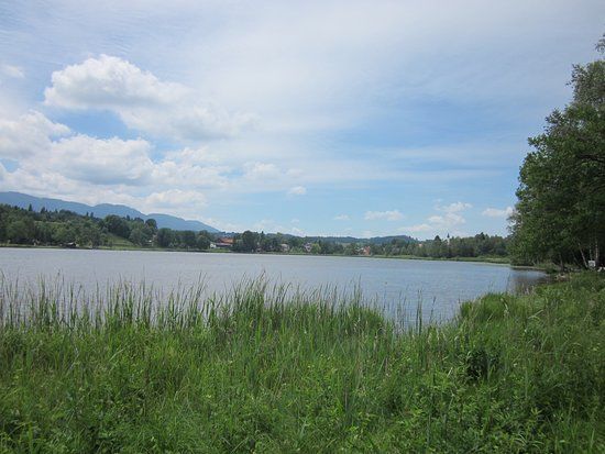 Bayersoiener See