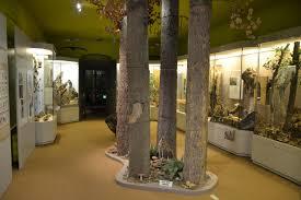 Naturkundemuseum Ostbayern