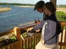 Vogelfreistätte Mittlere Isarstauseen