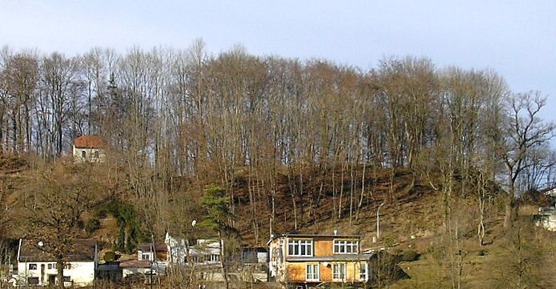 Burgstall Wildenroth