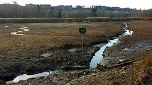 Schwabelsberger Weiher